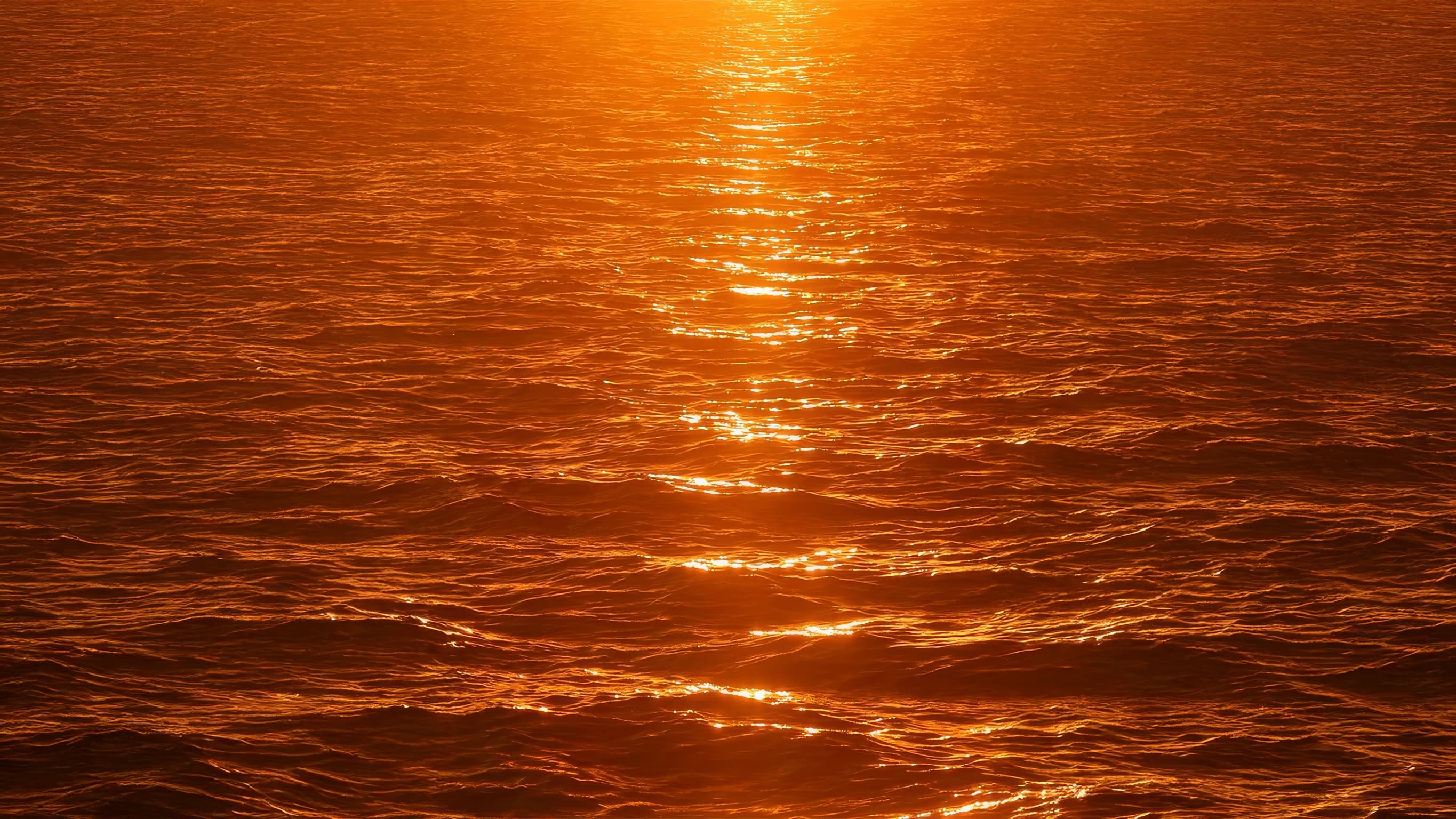 Meaningful business outcomes for sustainable companies