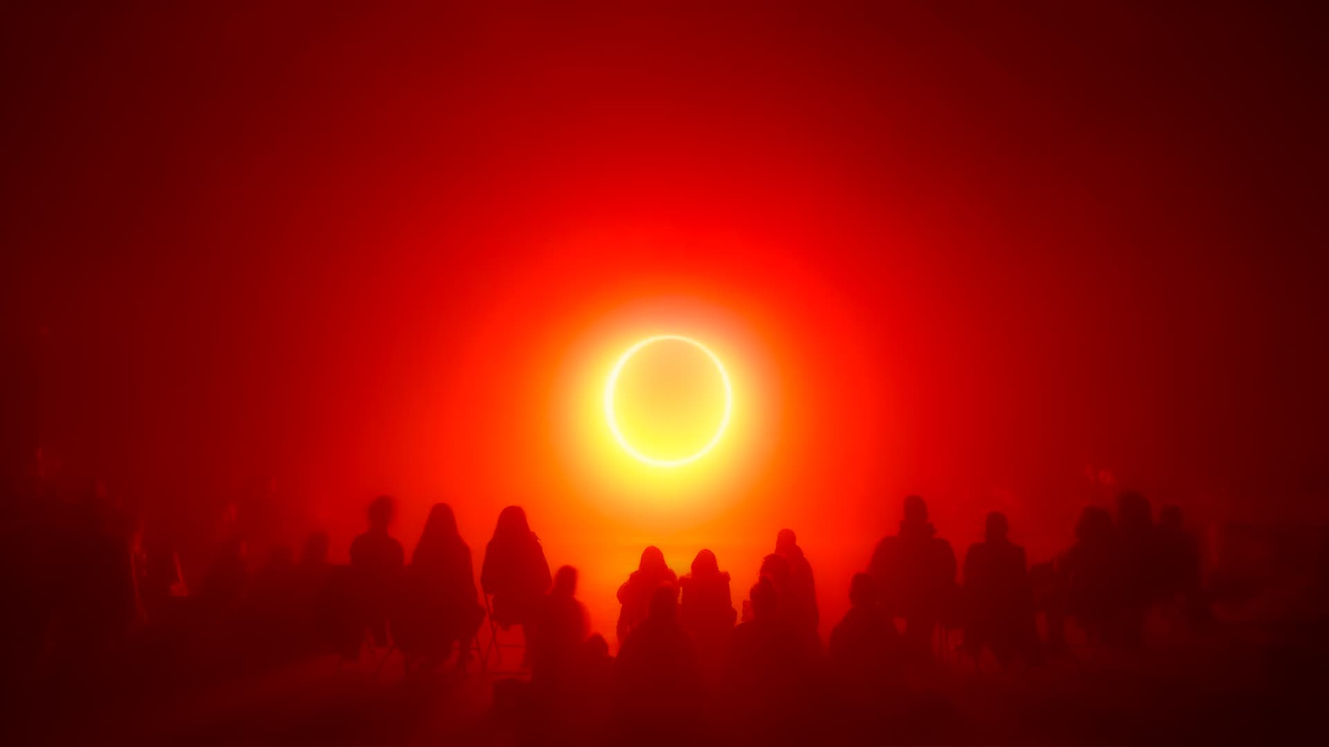 Expanding into new markets with Synrgy